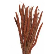 SPRAY MILLET 28" Burnt Oak-OUT OF STOCK